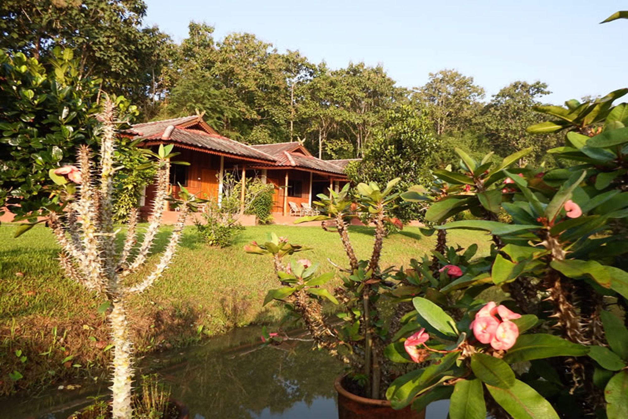 Noks Garden Resort Chiang Rai Exterior foto
